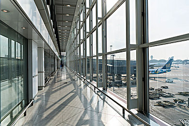 黄色软件排行：极速法则的边界，虚拟引擎中的自由与枷锁-4