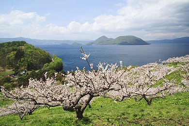 三上优亚色情：霓虹弯道，视觉竞速美学的街头改装传说-2