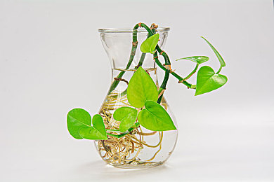 91吃瓜黑料：极速暗影，情报赛道上的心理竞逐战-4