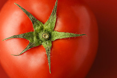 男生插入女生桃子：《极速狂飙：蜜桃挑战赛》今日上线，创新能量收集机制颠覆传统竞速体验-4