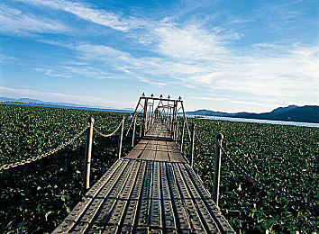 双人打扑克又痛又叫视频：极速牌局狂飙对决正式上线，卡牌竞速引爆双人对战新热潮-3