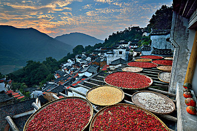 xaxmantauzunhaya翻译：开放世界赛车游戏新趋势，极致自由驾驶体验全解析