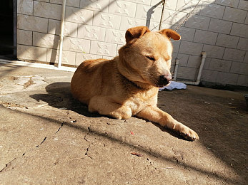 无锡小剧场歌舞团表演22：光影竞速，舞台狂飙，虚拟演艺飞车奇谭-3