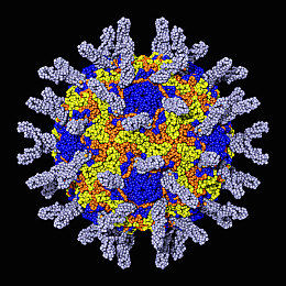 男生女生一起差差差的app下载:双人协同驾驶,默契竞速挑战真实赛道-2