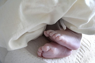 不知火舞森林公园:经典格斗角色疾驰,开放世界竞速新体验-2