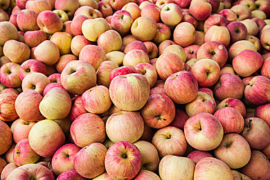 好色视频TV：霓虹竞速新作登场，视觉革新与街头狂飙引爆玩家热议-4