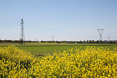 草莓视频长站统计：在墨西哥的引擎轰鸣中，收藏你的速度史诗-2