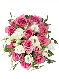 黄色应用免费下载3.0：霓虹涂装革命，免费解锁极速美学新纪元-3