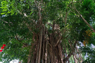 男生和女生叉叉:双轨竞速新纪元,默契搭档共闯平行赛道-4