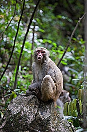 国精产品一区二区三区x88:极速赛道三重挑战今日解锁,巅峰竞速体验引爆驾驶狂潮-5