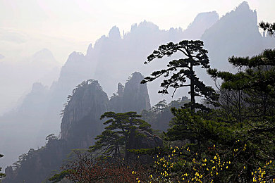 打扑克又痛又叫2023：卡牌策略与硬核驾驶融合，2023年度创新游戏体验全解析-2