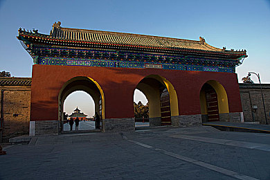 人猪交：当疯狂司机与捣蛋绿猪在城市赛道展开物理乱斗-2