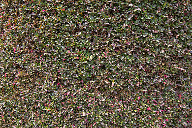 男人插女人机机软件:智取极速赛道,破解人机合一竞速新纪元-5