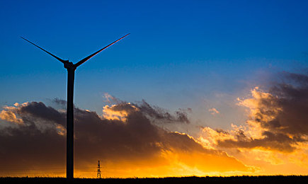 黄色软件oppo:墨西哥艳阳下,驾驭金色风暴的极速狂欢-3