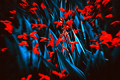 艳女 直播:虚拟偶像竞速新作发布,双轨玩法颠覆传统赛车游戏体验-2