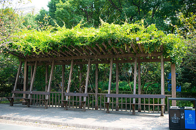 蜜桃AV亂倫:极速血亲,赛道权谋,荣耀与背叛的家族竞速史诗-5