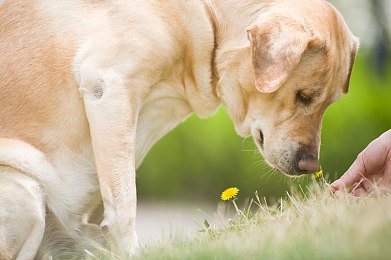 情侣做剧烈运动软件:双人竞速新作上线,默契协作共赴极速浪漫之旅-5
