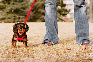 黑人双人RAPPER是什么意思啊：《街头节拍：双人狂飙》今日上线，双人节奏竞速玩法引爆全新狂潮-5