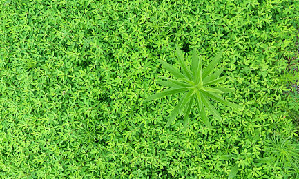 三上悠亚av：空气动力竞速，赛博东京极速幻影-5