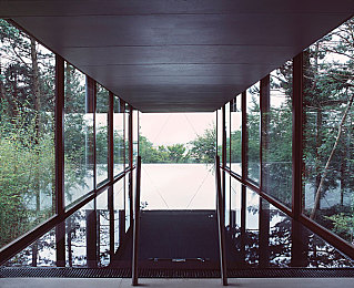 黄色污污污软件：颠覆传统赛车体验，视觉干扰挑战赛开启全新驾驶认知模式-3