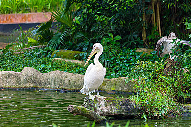 男生女生晚上APP：夜飙墨西哥,极限竞速地平线5成玩家深夜社交新宠-5