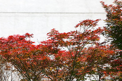 一区一区三区：分段征服赛道，极限竞速地平线进阶攻略全解析-4