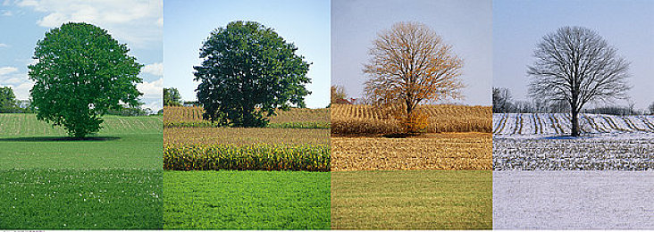 软件免费下载3.0.3每天更新华为：极速地平线移动版，真实驾驶手感与开放世界新体验-3