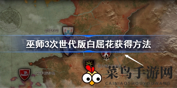 《巫师3：狂猎》寻宝记，揭秘次世代版白屈花采集秘籍，冒险家速来！