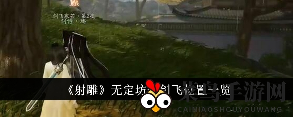 《射雕手游》无定坊剑飞分布全解析，秘境探险攻略助力玩家轻松征服