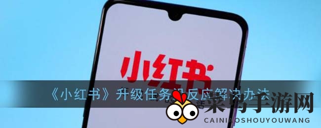 《小红书》卡关难题破解，四招轻松解锁升级之旅