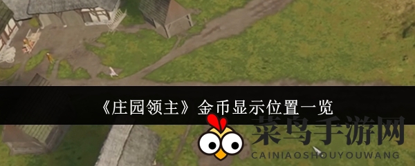 《庄园领主》财富奥秘：金币轨迹探秘之旅