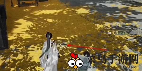 《射雕》醉王孙收集攻略