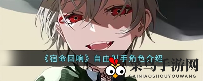 《宿命回响》自由射手：神秘射手技能解析，团队增益关键角色