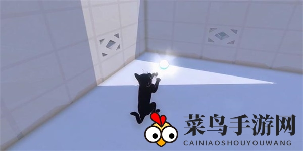 《小猫咪大城市》鲭鱼帽获取攻略