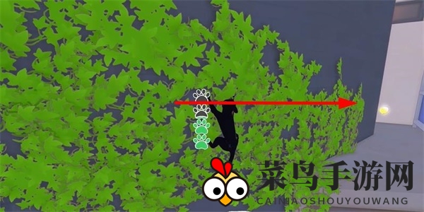 《小猫咪大城市》老虎帽获取攻略