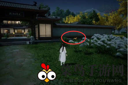 《射雕》无定坊猛兽献宝位置攻略