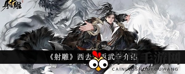 《射雕》西去无返武学介绍