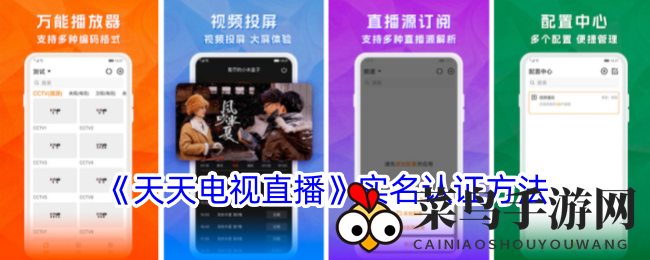 《天天电视直播》实名认证新攻略：轻松开启清朗直播环境之旅