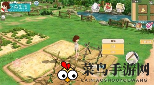 《小森生活》解锁自然收纳，轻松获图纸，体验宁静生活之旅