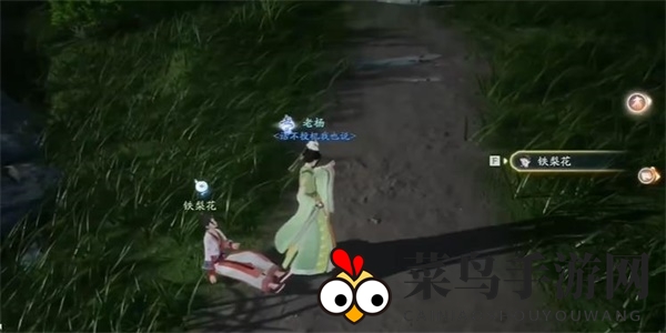 《射雕》寄梅收集攻略