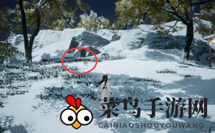 《射雕》无定坊猛兽献宝位置攻略