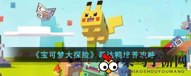 《宝可梦探险寻宝》攻略：揭秘哥达鸭养成秘籍，水炮技能助你战力飙升
