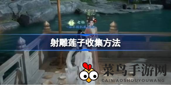 《射雕手游》莲子搜集秘籍大揭秘：深入互动解锁宝藏之旅