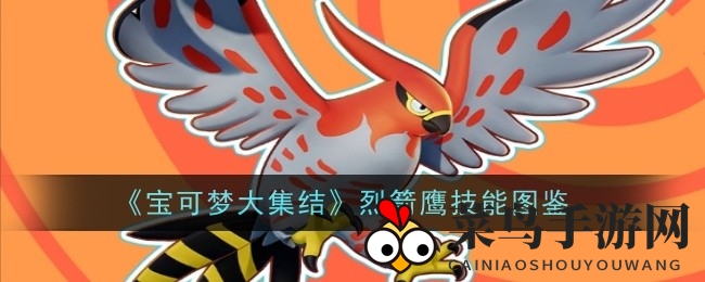 《宝可梦大集结》烈箭鹰：进化之路，战场翱翔的秘密解析