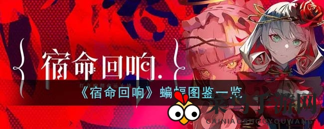 《宿命回响》神秘英雄蝙蝠全解析：防御力MAX，团队守护神揭秘
