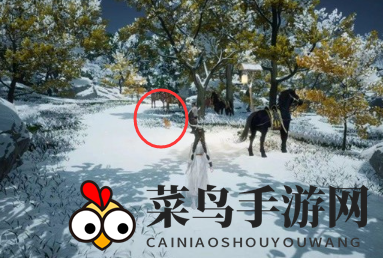 《射雕》无定坊猛兽献宝位置攻略