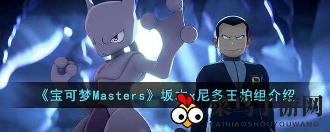 《宝可梦Masters》坂木x尼多王搭档组合详解