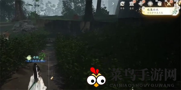 《射雕》白术收集攻略