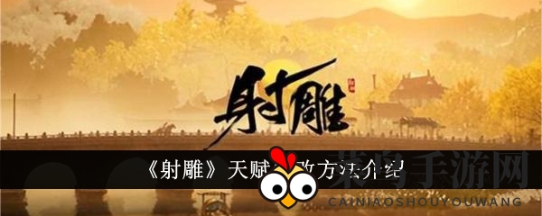 《射雕》天赋重塑秘籍：解锁个性英雄，畅游游戏新境界