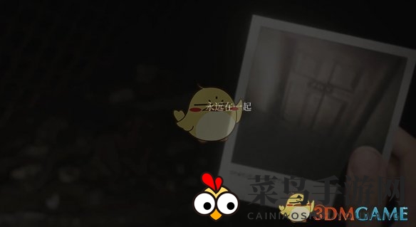 《寂静岭2重制版》奇照5名称与藏匿之处详述